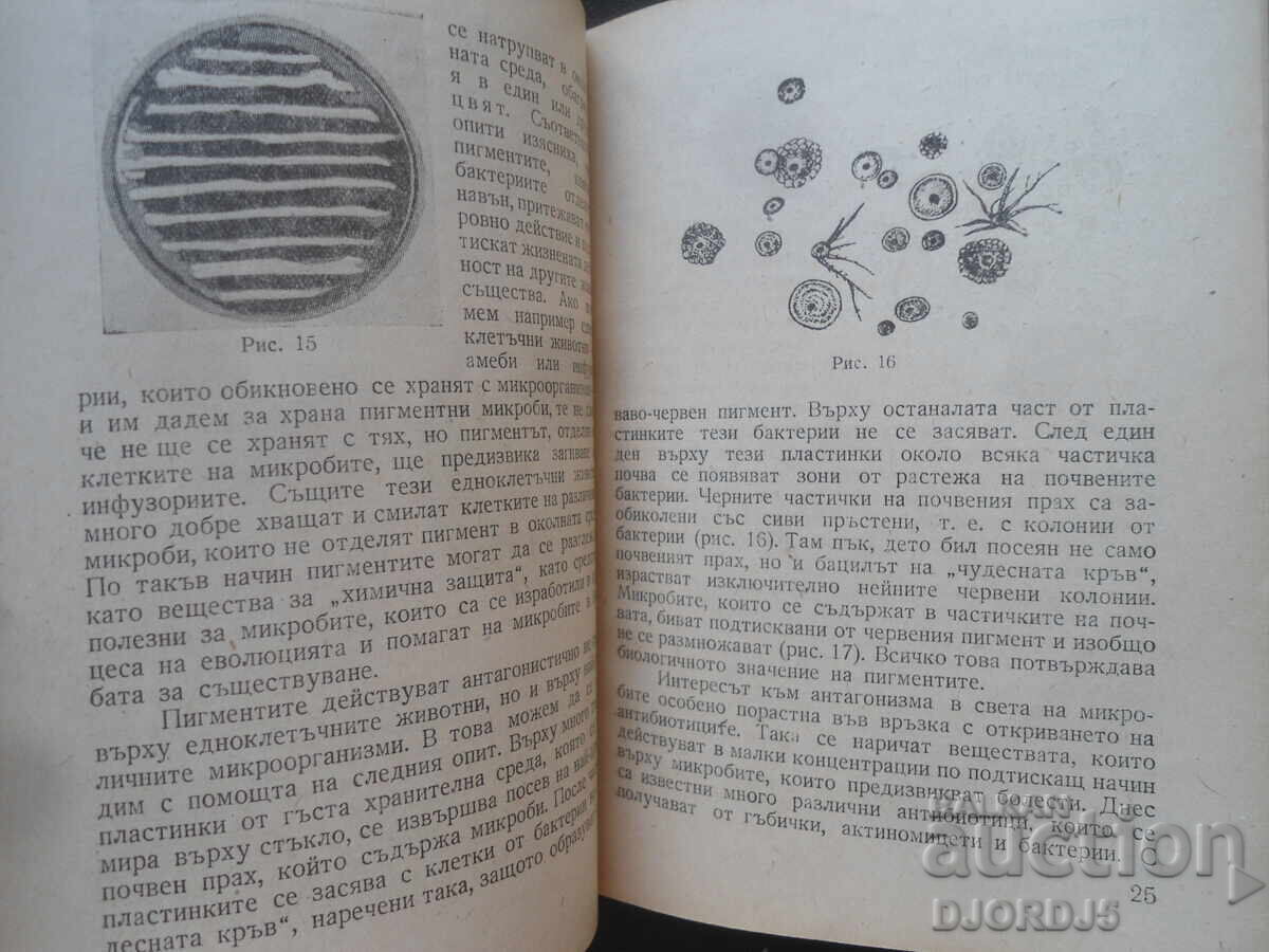 Παράδοση Αόρατος Κόσμος, Α.Α. Ιμσενέτσκι