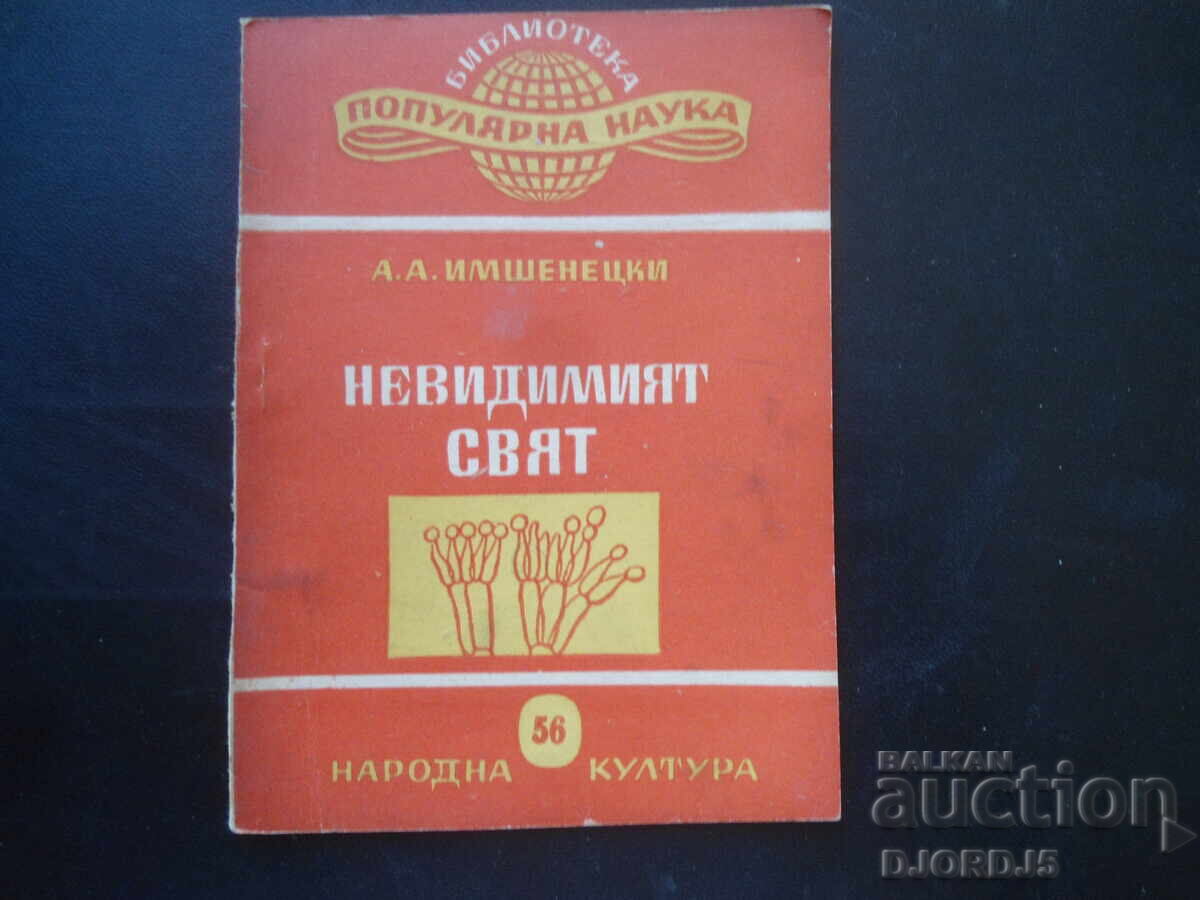 Αόρατος Κόσμος, Α.Α. Ιμσενέτσκι