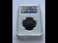 2 Copeici 1825 EM PG Detalii AU Rusia