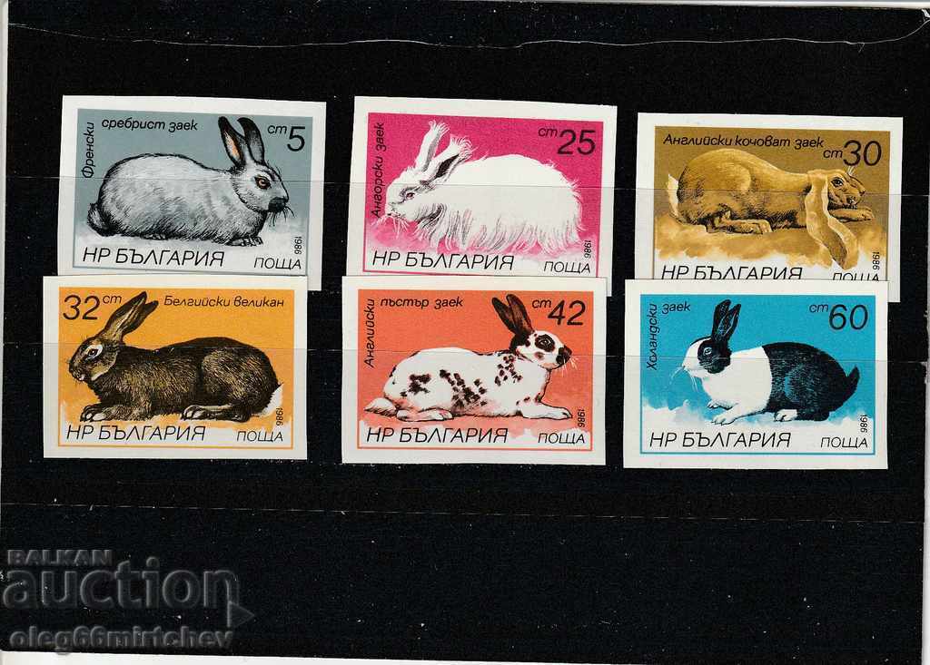 Bulgaria 1986 Fauna Rabbits BK№3488/93 Un curat fără nume. Bulgaria 1986 Fauna Rabbits BK№3488/93 Un curat fără nume.
