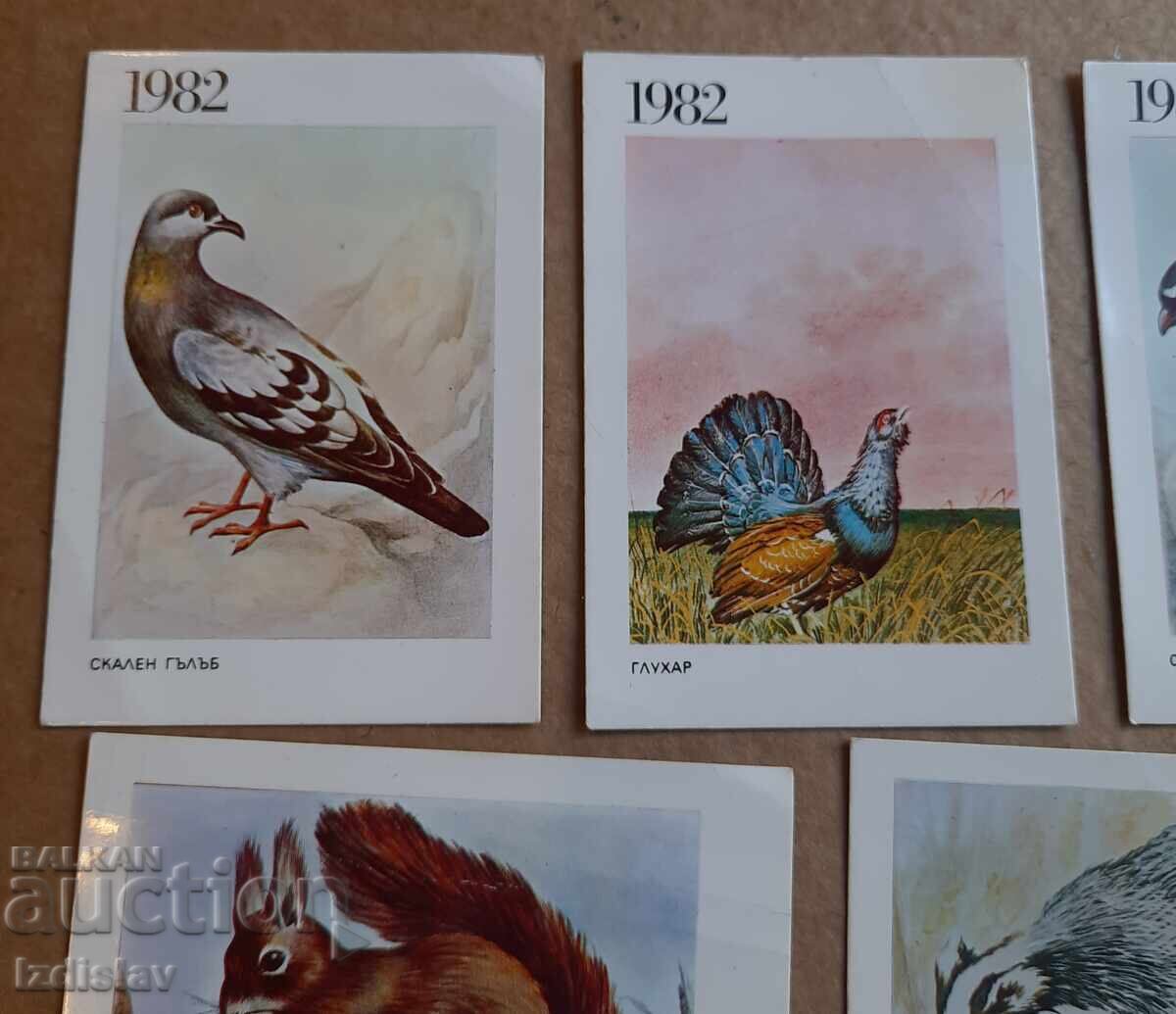 8 collectible animal calendar cards with price 16.00 BGN | € 8.18 8 collectible animal calendar cards with price 16.00 BGN | € 8.18