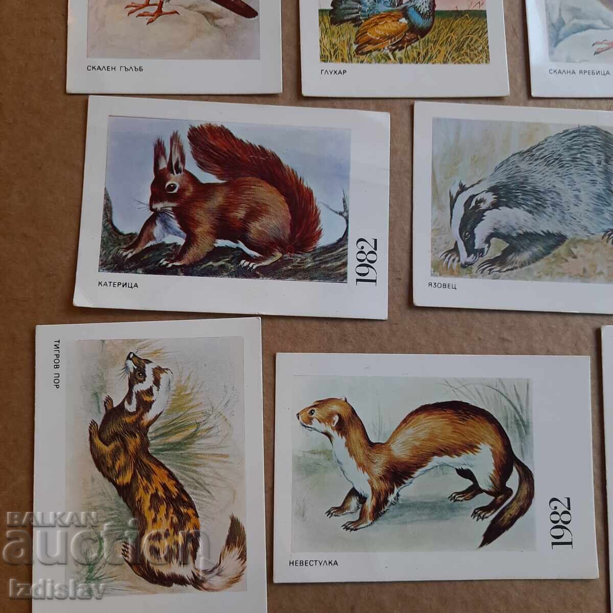 Auction 8 collectible animal calendar cards Auction 8 collectible animal calendar cards
