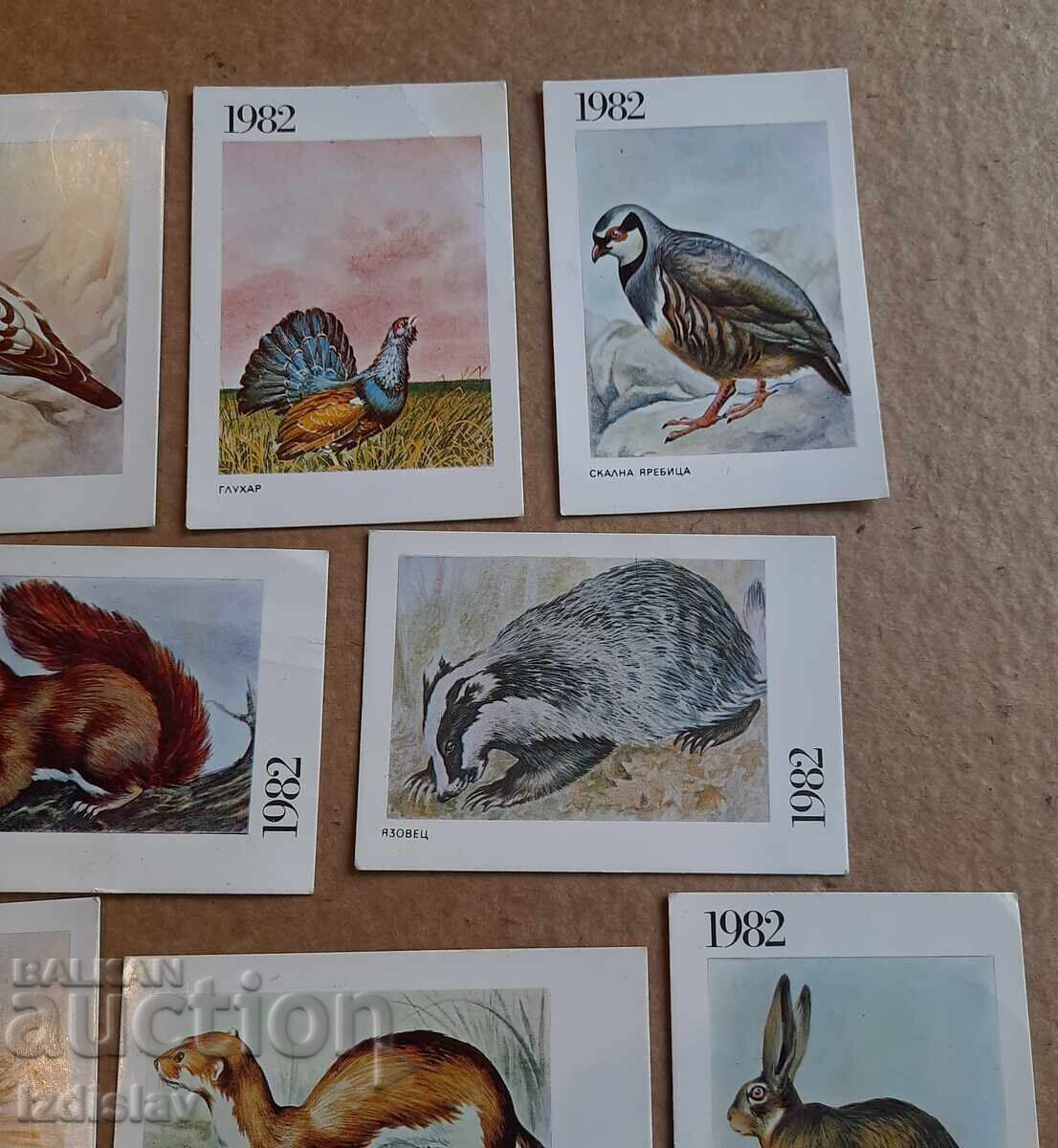 Livrarea 8 bucăți calendare colecționabile animale