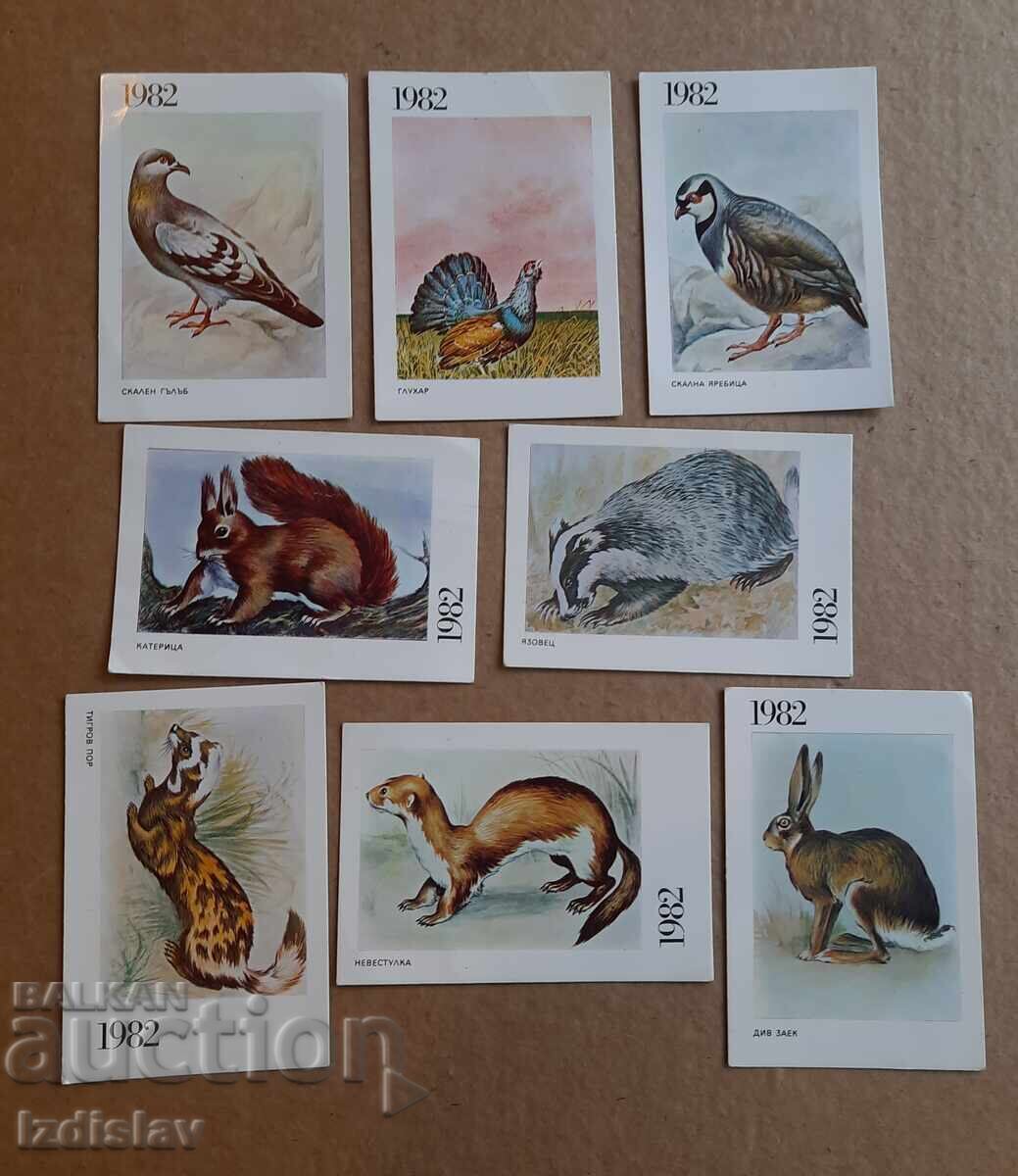 8 bucăți calendare colecționabile animale