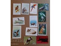 12 collectible animal calendars