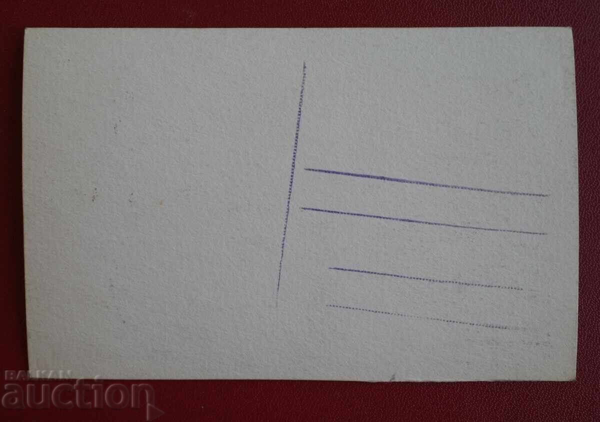 Βάρνα, θαλάσσιος κήπος με τιμή 2.00 BGN | € 1.02