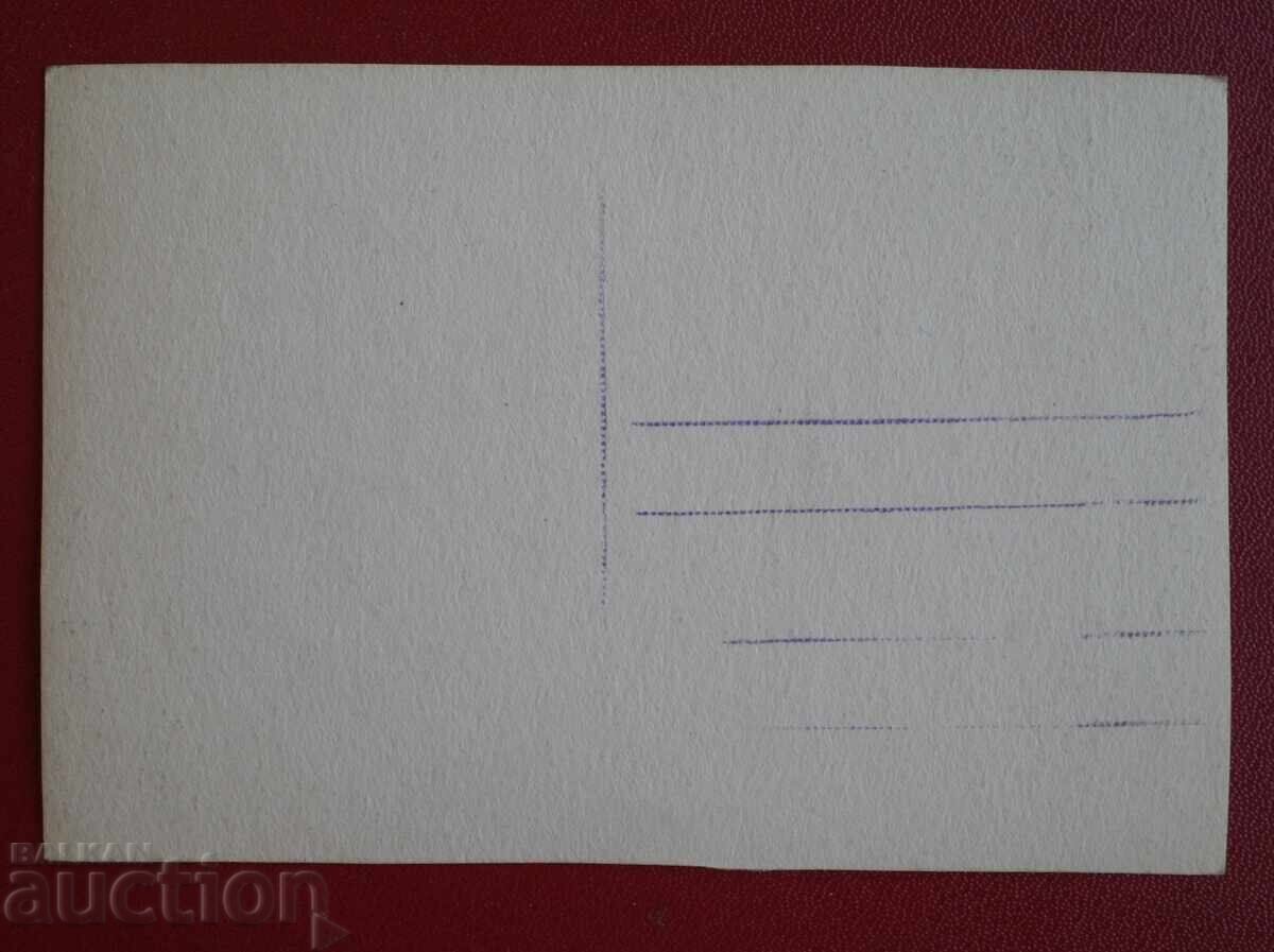 Βάρνα, θαλάσσιος κήπος με τιμή 2.00 BGN | € 1.02