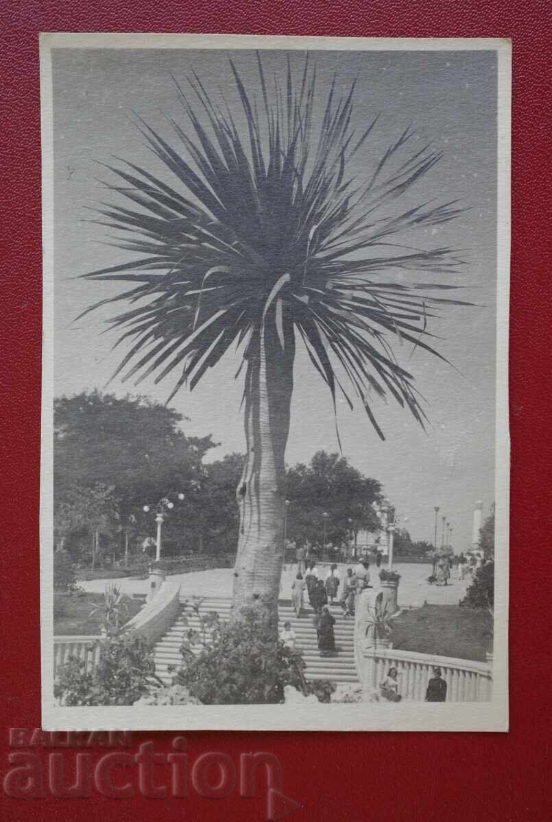 Βάρνα, θαλάσσιος κήπος