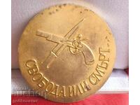 Plachetă semn extrem de rară! Rare!