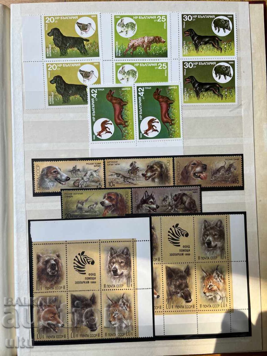 България и др., главно животни и др.,албум от 8 л. (16 стр.) - 7 България и др., главно животни и др.,албум от 8 л. (16 стр.) - 7