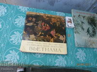 Τέχνη Βιετνάμ