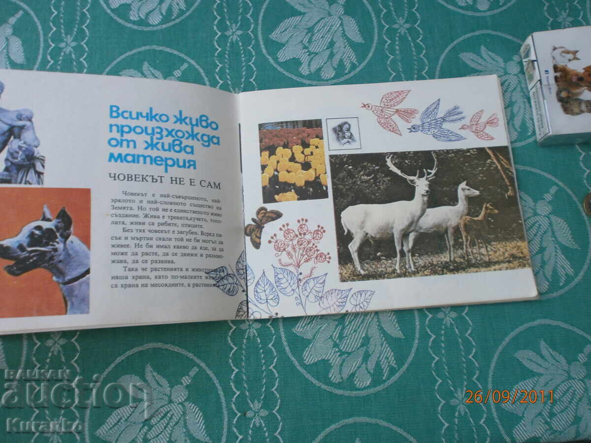 Auction Children's book PRB Auction Children's book PRB