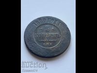 5 Copeici 1880 Rusia