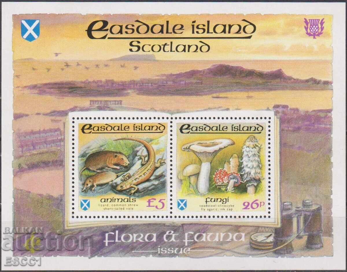 Clean Block Flora and Fauna Fungi 1993 Scotland Isle of Easedale