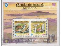 Clean Block Flora and Fauna Fungi 1993 Scotland Isle of Easedale