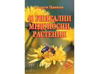 41 de plante melifere unice