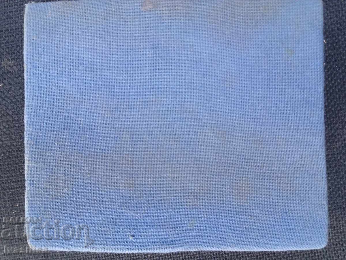 ICOANĂ RUSĂ VECHE Rusia Țaristă - 6