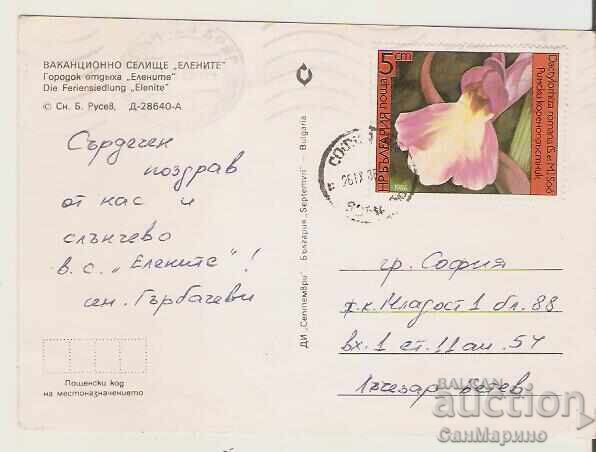 Картичка  България  Елените Ваканционно селище 8* с цена 0.80 лв. | € 0.41