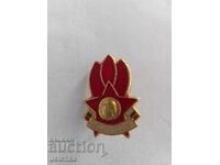 Badge "Always Ready"