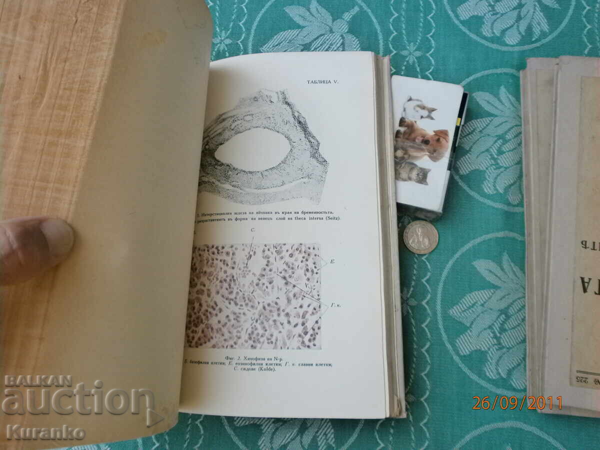 Medicine Kingdom of Bulgaria - 5 Medicine Kingdom of Bulgaria - 5