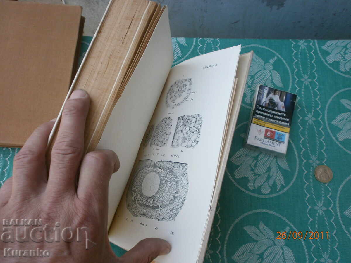 Medicine Kingdom of Bulgaria - 7 Medicine Kingdom of Bulgaria - 7