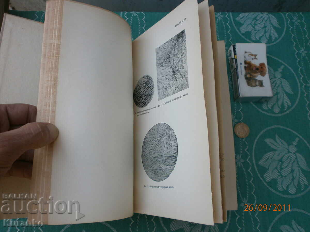 Παράδοση Ιατρικό Βασίλειο της Βουλγαρίας Παράδοση Ιατρικό Βασίλειο της Βουλγαρίας