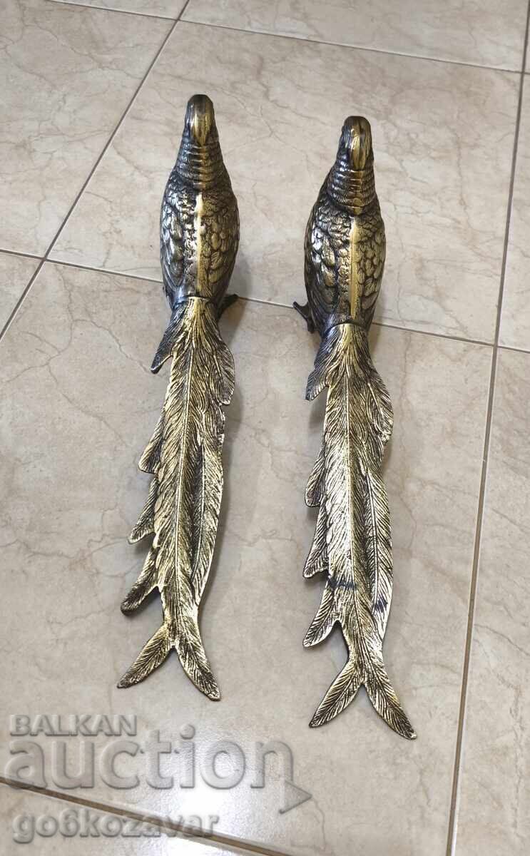 Δημοπρασία Αντίκα ζεύγος ορειχάλκινων φασιανών από τα μέσα του αιώνα, αρτ ντεκό! Δημοπρασία Αντίκα ζεύγος ορειχάλκινων φασιανών από τα μέσα του αιώνα, αρτ ντεκό!