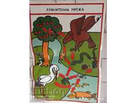 Vechi panou educațional rețea alimentară PVC 60cm / 100cm