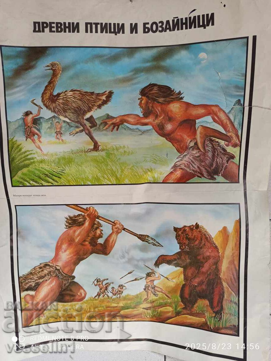 Old educational chart ancient birds and mammals 60cm / 100cm