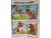 Panou didactic vechi păsări și mamifere antice 60cm / 100cm