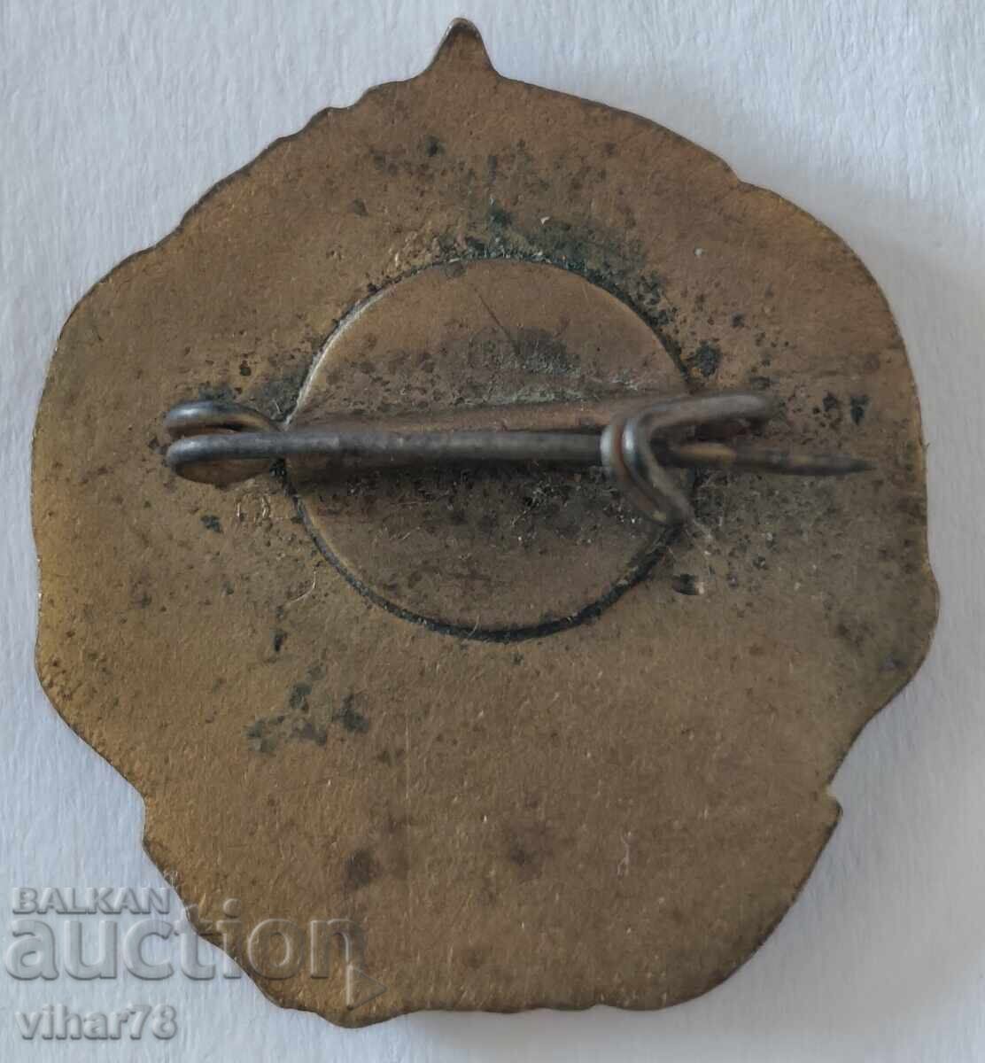 Miniatură a ordinului de aur Gheorghi Dimitrov - 7