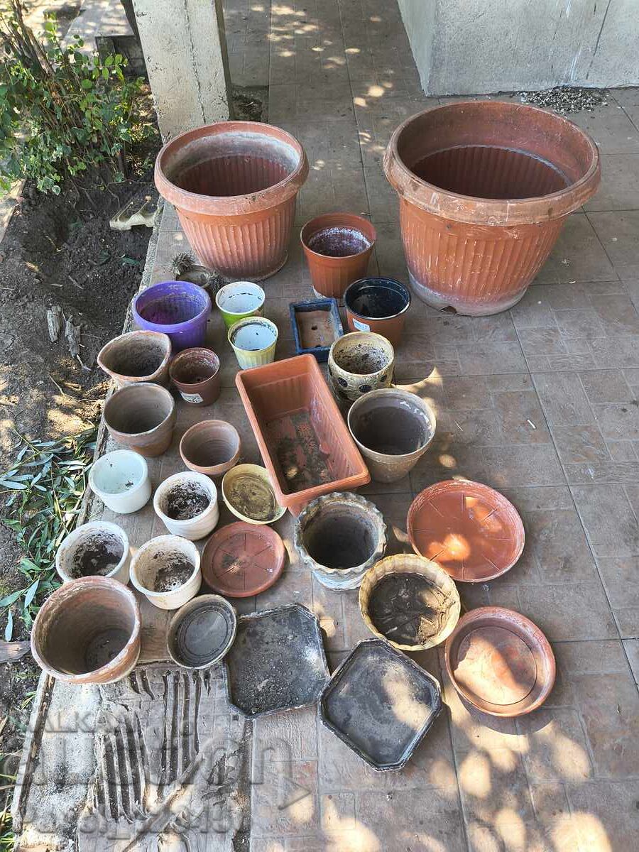 Delivery of Many flower pots