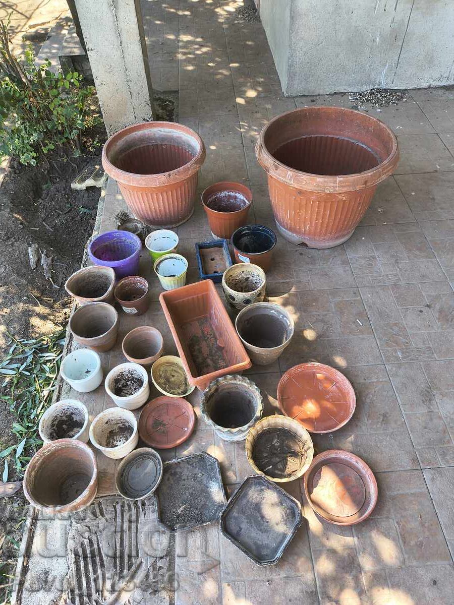 Many flower pots
