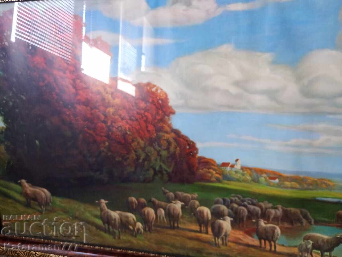 Μεγάλη Αναπαραγωγή! με τιμή € 50.00 | 97.79 BGN