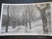 Kolarovgrad - Alley in Kyoshkovete, Old postcard
