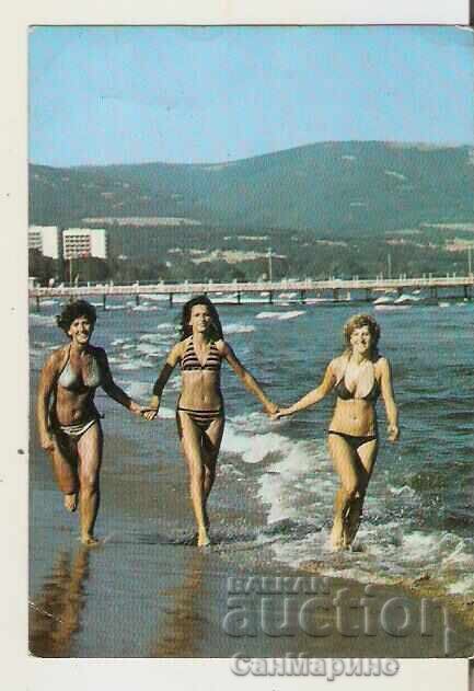 Card Bulgaria Sunny Beach The beach 6 **