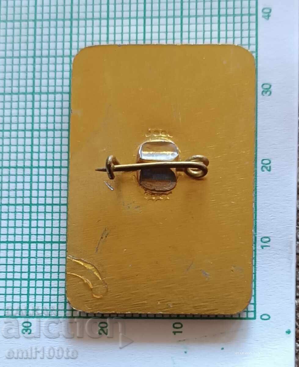 Insigna - 60 de ani Societatea Turistică Edelweiss Sofia - 5