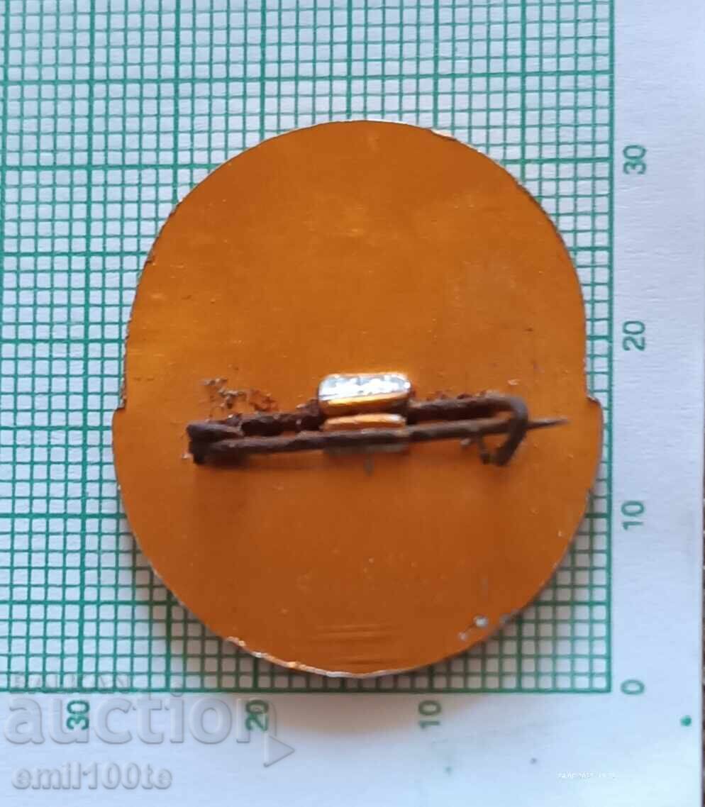 Badge - Rila tourist association Samokov - 5 Badge - Rila tourist association Samokov - 5