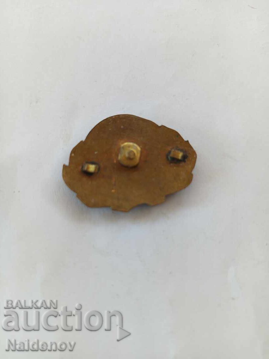 Cockade of the Wounded of the Socialist (Republic) with price 19.00 BGN | € 9.71