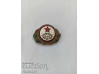 Cockade of the Wounded of the Socialist (Republic)