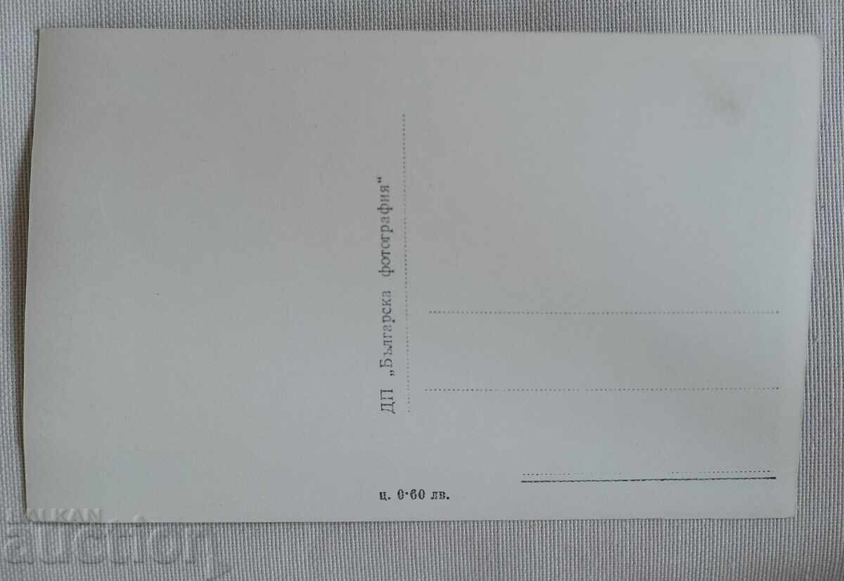 Ρίλα-Μαλιοβίτσα Συλλεκτικό ποιότητας με τιμή 5.00 BGN | € 2.56