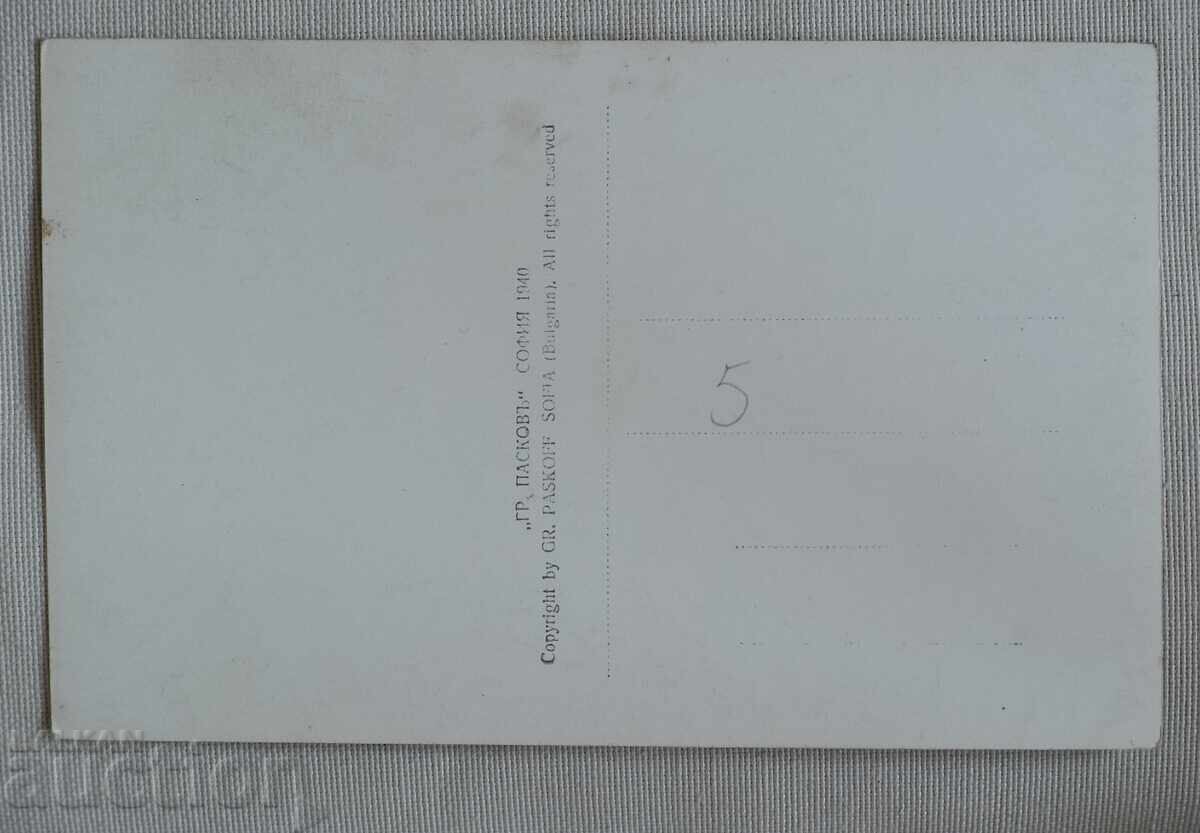 Paskov-Pleven very good condition with price 10.00 BGN | € 5.11