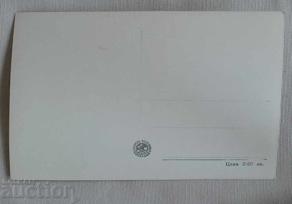 Bansko with Pirin with price 5.00 BGN | € 2.56