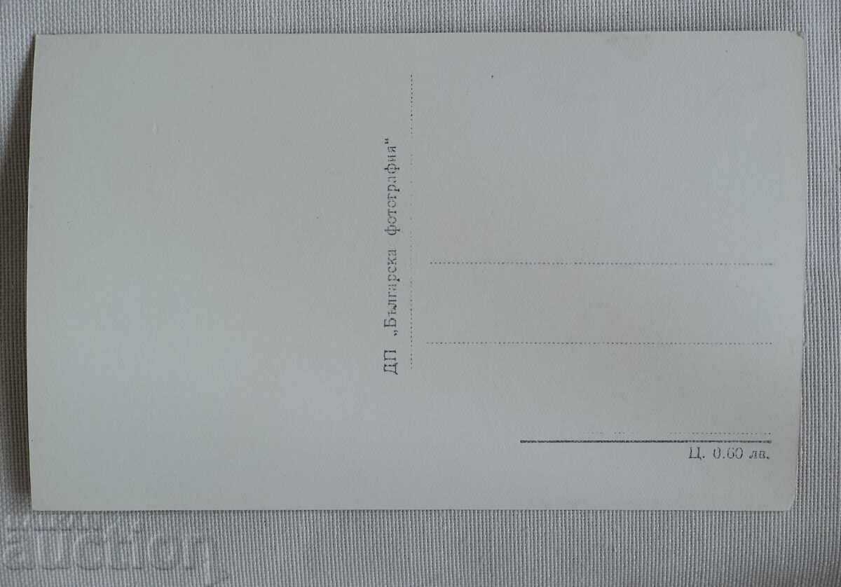 Ρίλα-βρ. Αλέκο με τιμή 5.00 BGN | € 2.56