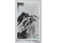 Ρίλα-βρ. Αλέκο