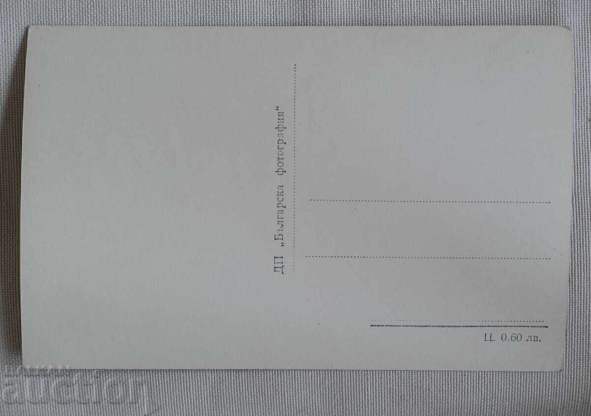 Рила-Купените Много Добро Състояние с цена 7.00 лв. | € 3.58