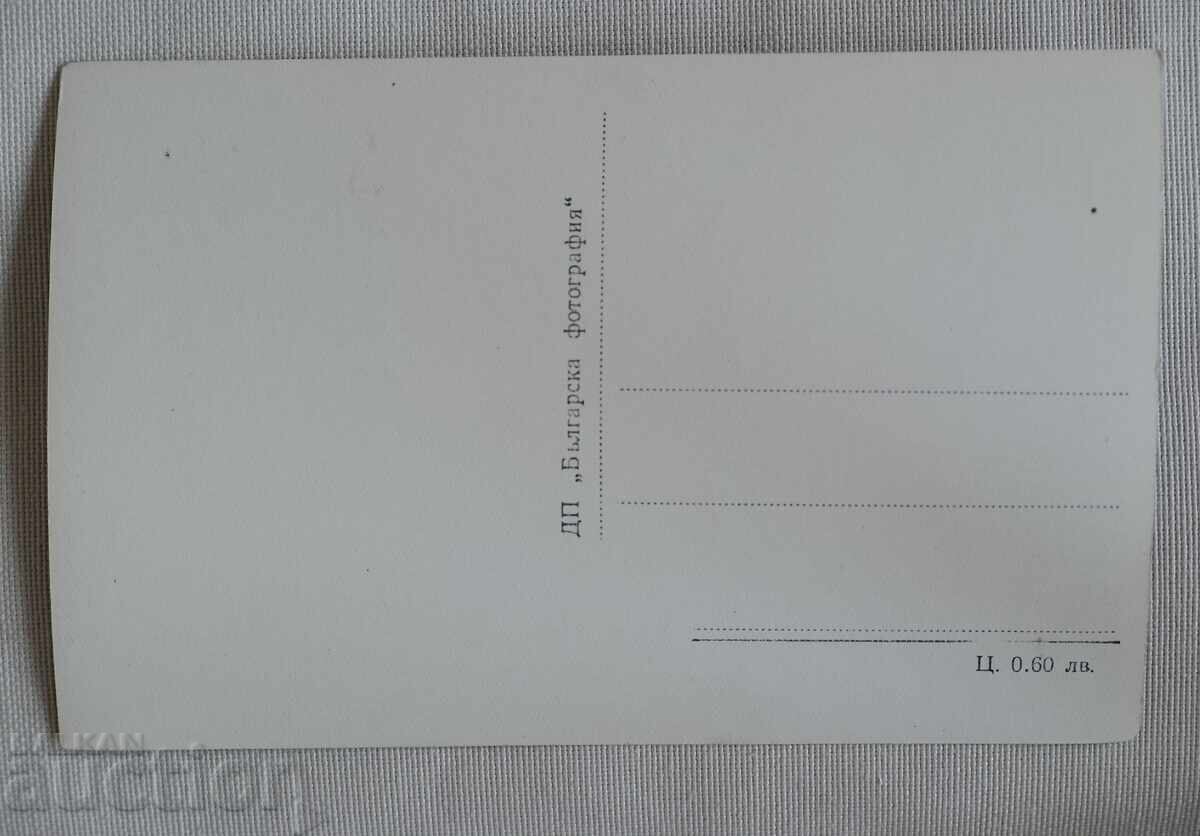 Borovets Iarnă Stare Foarte Bună cu preț 7.00 BGN | € 3.58