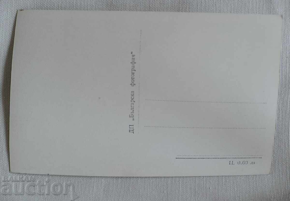 Ρίλα-Πογκλέντετς (Ιόζολα) Συλλεκτική ποιότητα με τιμή 7.00 BGN | € 3.58