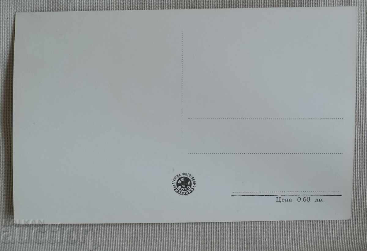 Πίριν Ελ. Τέπε και Κουτέλα Συλλεκτική ποιότητα με τιμή 7.00 BGN | € 3.58