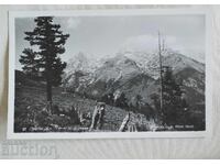 Πίριν Ελ. Τέπε και Κουτέλα Συλλεκτική ποιότητα